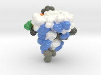 INSULIN-LIKE GROWTH FACT 2GF1 3d printed