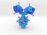Antibody Drug Conjugate x8 3d printed