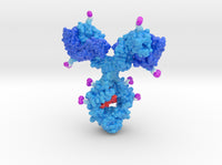 Antibody Drug Conjugate x8 3d printed