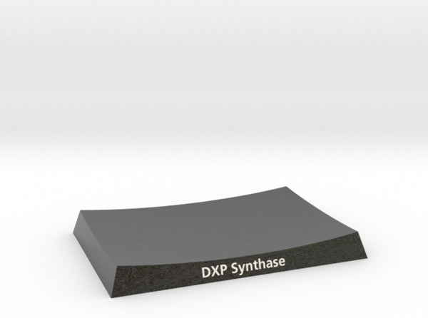 sml_DXP_Synthase_Base_1 3d printed