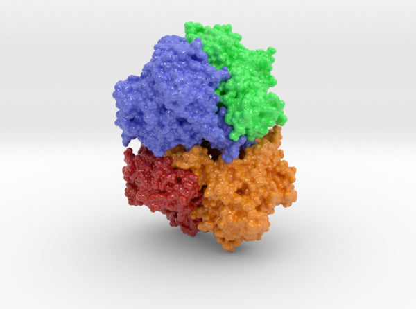 Pyranose Oxidase 4MIH 3d printed