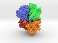 Pyranose Oxidase 4MIH 3d printed
