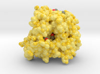 Peroxygenase DMXO 5OY1 3d printed