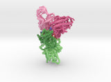 mdm_7KS9_CoV2-RBD-WT-Antibody_max_x125-8cm_vD119 3d printed