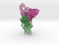 mdm_7KS9_CoV2-RBD-WT-Antibody_max_x125-8cm_vD119 3d printed