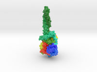 Lysine-Specific Demethylase-1 2H94 3d printed