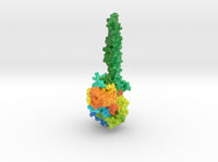 Lysine-Specific Demethylase-1 2H94 3d printed