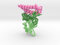 SARS-CoV-2 RBD ACE2 Receptor Complex 6M17