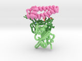 SARS-CoV-2 RBD ACE2 Receptor Complex 6M17