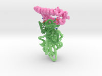 SARS-CoV-2 RBD ACE2 Receptor Complex 6M17