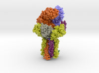 T Cell Receptor CD3 Hexamer Complex 6JXR