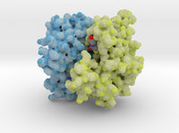 Glutathione S-tranferase 1U3I 3d printed