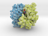 Glutathione S-tranferase 1U3I 3d printed