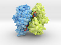 Glutathione S-tranferase 1U3I 3d printed