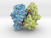 Glutathione S-tranferase 1U3I 3d printed