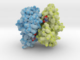 Glutathione S-tranferase 1U3I 3d printed