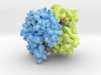 Glutathione S-tranferase 1U3I 3d printed