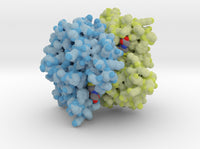 Glutathione S-tranferase 1U3I 3d printed