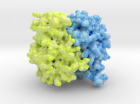 Glutathione S-tranferase 1U3I 3d printed