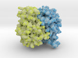 Glutathione S-tranferase 1U3I 3d printed