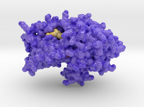 Alcohol Dehydrogenase 1HSO 3d printed