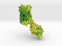 Cannabinoid Receptor in Complex with THC 5XRA 3d printed