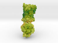 Cannabinoid Receptor in Complex with THC 5XRA 3d printed