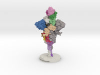 SARS-CoV-2 Spike Glycoprotein Antibody Complex 6VXX-7KS9