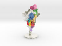 SARS-CoV-2 Spike Glycoprotein Antibody Complex 6VXX-7KS9