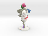 SARS-CoV-2 Spike Glycoprotein Antibody Complex 6VXX-7KS9