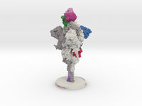 SARS-CoV-2 Spike Glycoprotein Antibody Complex 6VXX-7KS9