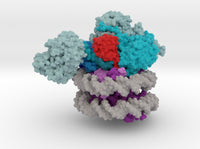Nucleosome COMPASS Complex 6UH5