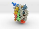 Nucleosome 1kx5