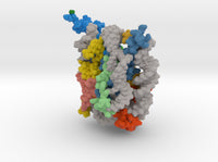 Nucleosome 1kx5