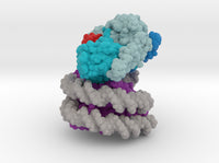 Nucleosome COMPASS Complex 6UH5