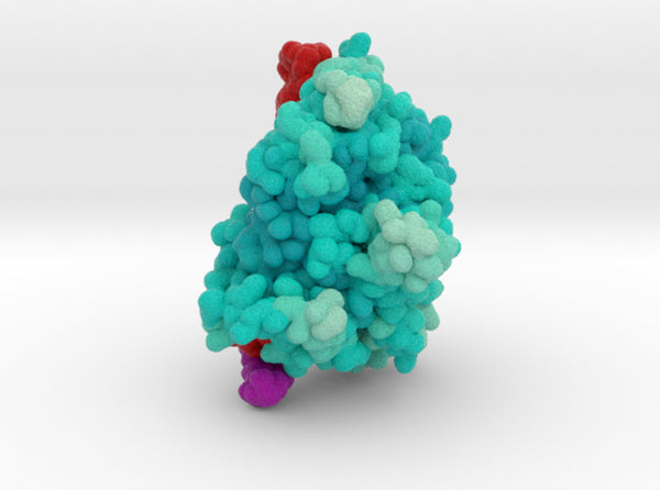 CRISPR-Cas13d 6E9F