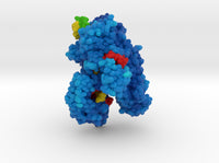 CRISPR-Cas12a 5B43