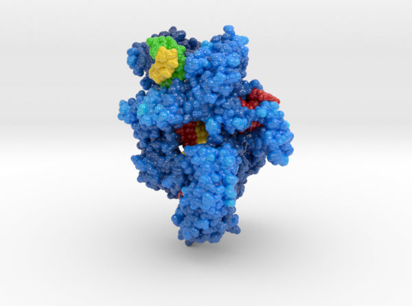 CRISPR-Cas12a 5B43