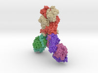 Type III CRISPR-Cas CSX1 6R9R