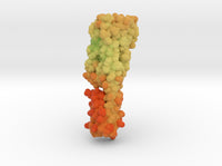 Serotonin Receptor 5-HT2B Psilocybin Complex 4IB4 3d printed