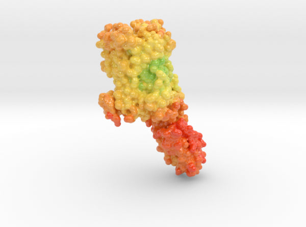 Serotonin Receptor 5-HT2B Psilocybin Complex 4IB4 3d printed