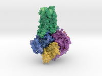 Adenosine A2A Receptor Complex 6GDG 3d printed