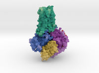 Adenosine A2A Receptor Complex 6GDG 3d printed