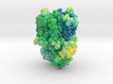 Mu-Opioid Receptor in Complex with Morphinan 4DKL 3d printed