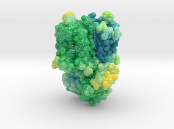 Mu-Opioid Receptor in Complex with Morphinan 4DKL 3d printed