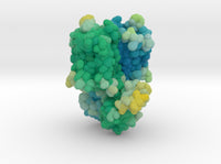 Mu-Opioid Receptor in Complex with Morphinan 4DKL 3d printed