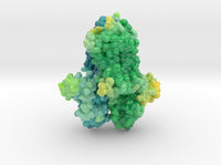 Mu-Opioid Receptor in Complex with Morphinan 4DKL 3d printed