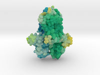 Mu-Opioid Receptor in Complex with Morphinan 4DKL 3d printed