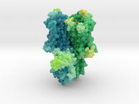 Mu-Opioid Receptor in Complex with Morphinan 4DKL 3d printed