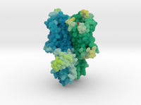 Mu-Opioid Receptor in Complex with Morphinan 4DKL 3d printed